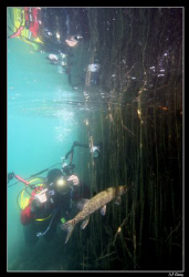 My buddy Sven capturing the moment of a pike fish trying ... by Daniel Strub 